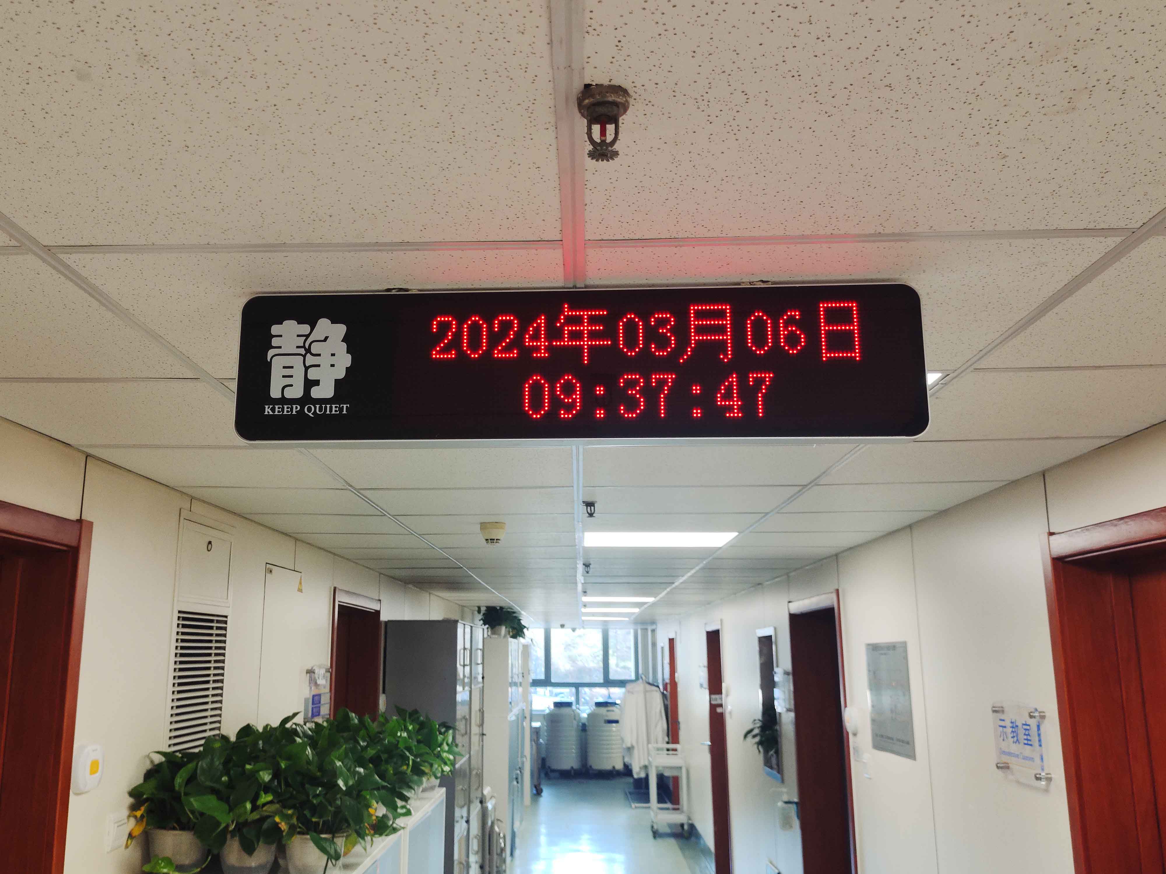 68340971_1785551748.jpg